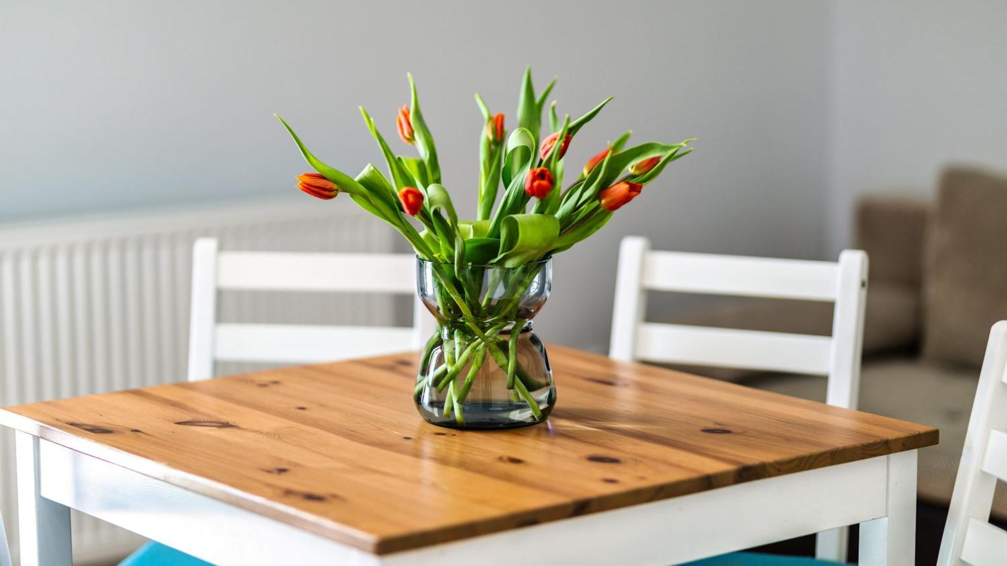 Morskie Apartamenty Przy Plazy Piamola Krynica Morska Ngoại thất bức ảnh